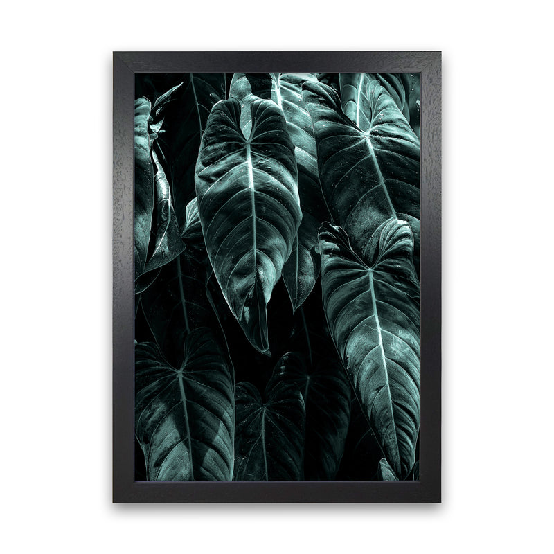 The Jungle Photography Art Print by Kubistika Black Grain