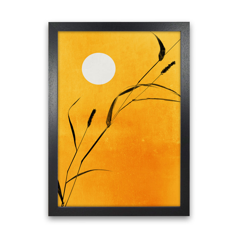Sunny Days Contemporary Art Print by Kubistika Black Grain