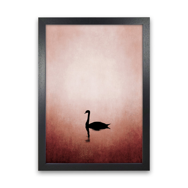 The Swan Contemporary Art Print by Kubistika Black Grain