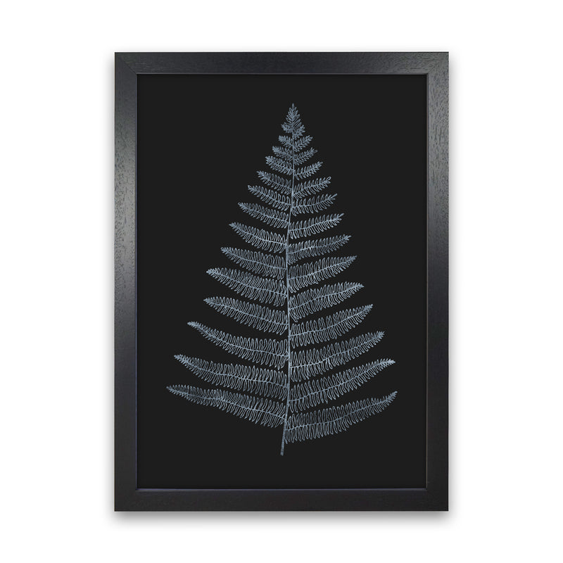 Botanica Minimalistica - BLEU Modern Art Print by Kubistika Black Grain