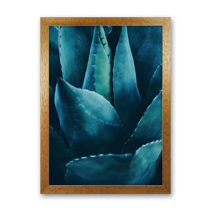 Cactus No 4 Photography Art Print by Kubistika Oak Grain