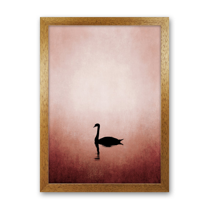 The Swan Contemporary Art Print by Kubistika Oak Grain