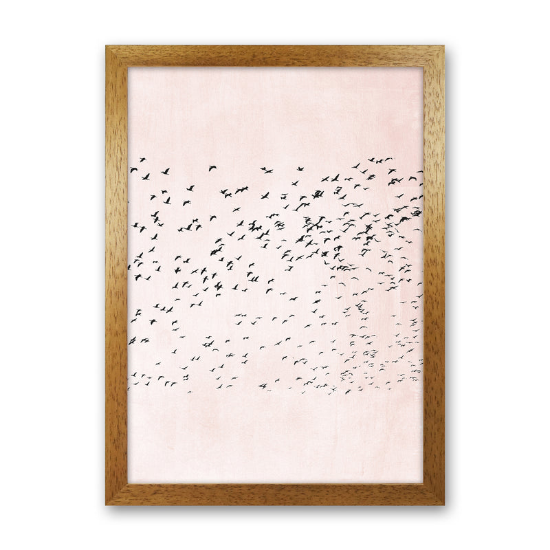 500 Seagulls Modern Contemporary Art Print by Kubistika Oak Grain
