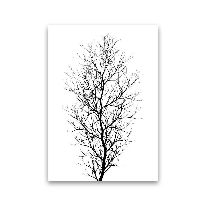 The Tree - BLACK Contemporary Art Print by Kubistika Print Only