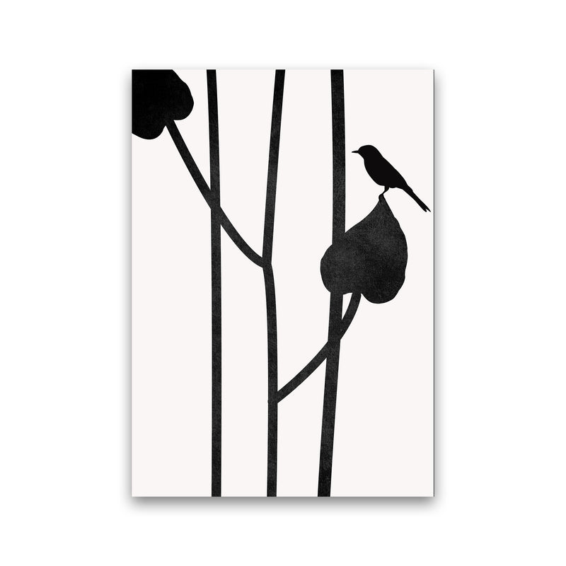 The Bird - NOIR Contemporary Art Print by Kubistika Print Only