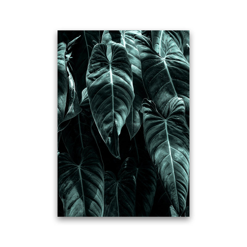 The Jungle Photography Art Print by Kubistika Print Only