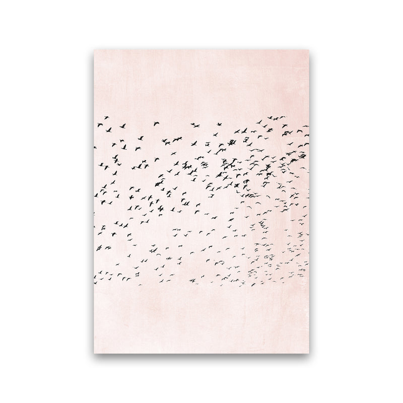 500 Seagulls Modern Contemporary Art Print by Kubistika Print Only