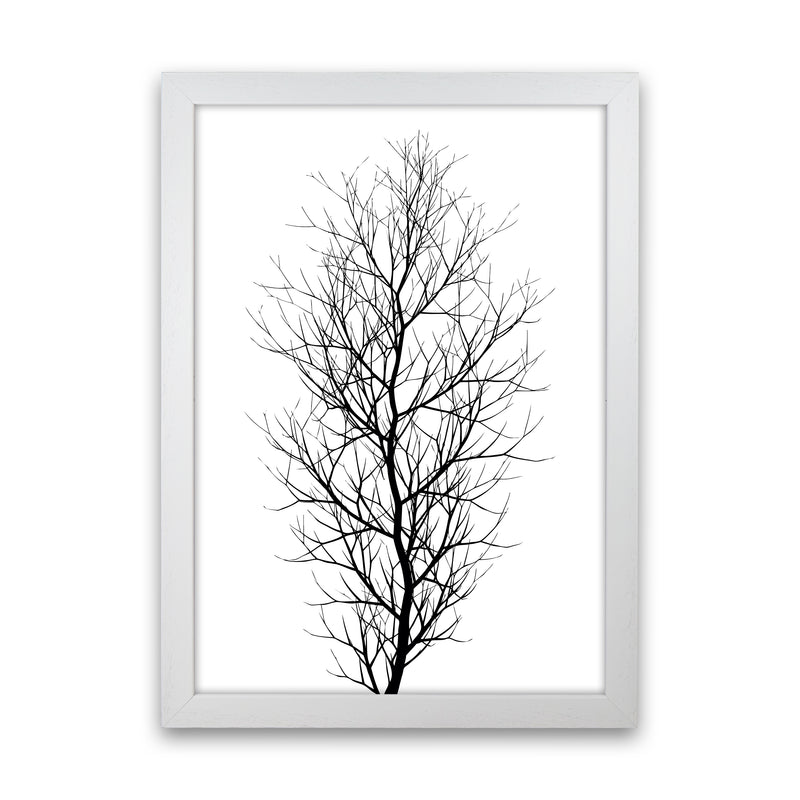 The Tree - BLACK Contemporary Art Print by Kubistika White Grain