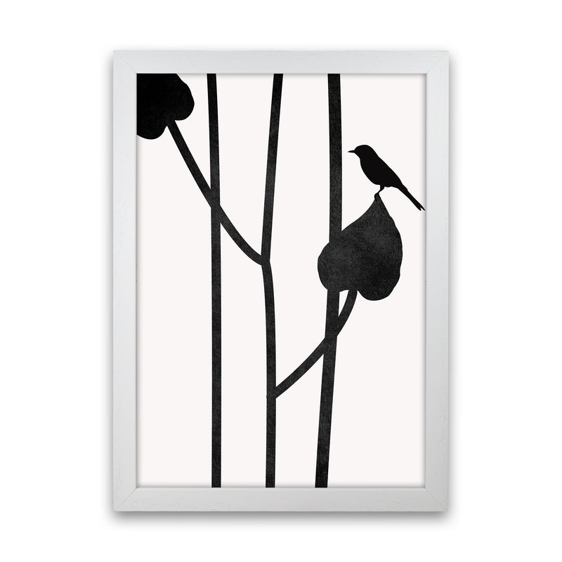 The Bird - NOIR Contemporary Art Print by Kubistika White Grain