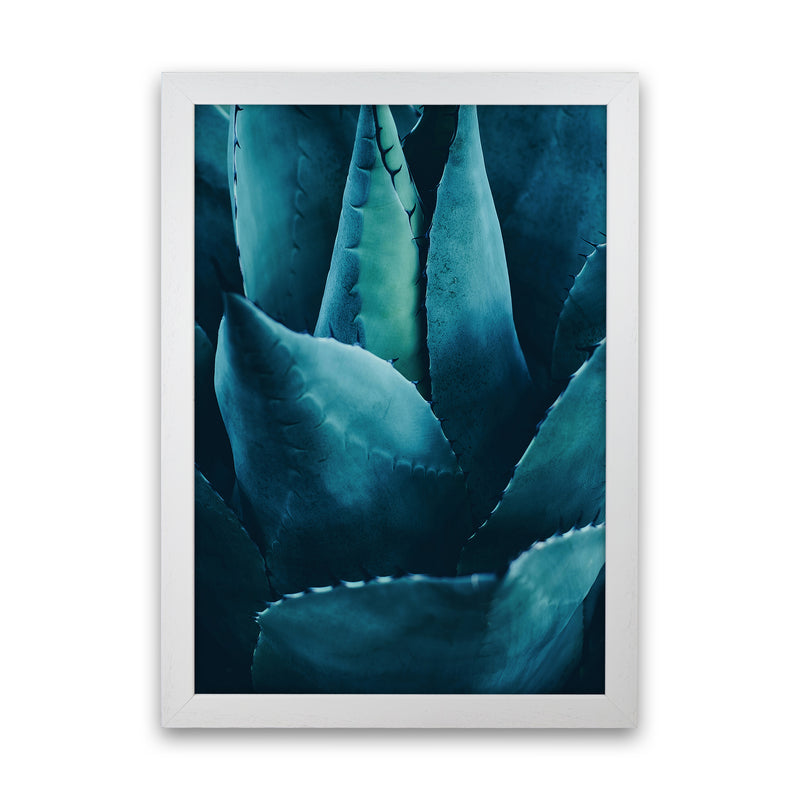 Cactus No 4 Photography Art Print by Kubistika White Grain