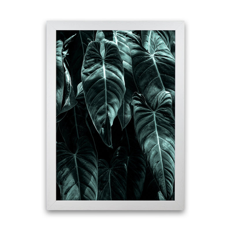 The Jungle Photography Art Print by Kubistika White Grain