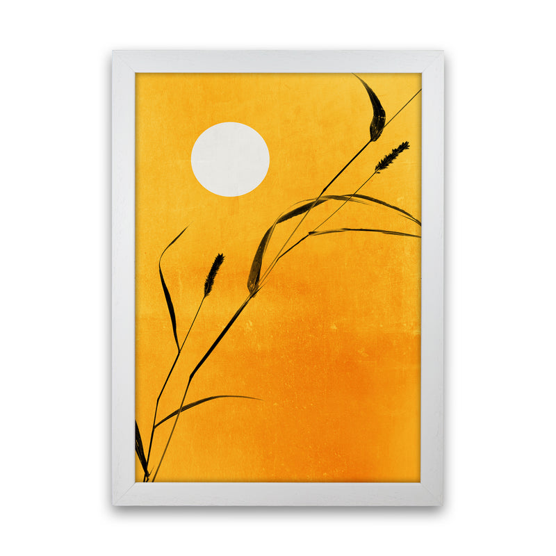 Sunny Days Contemporary Art Print by Kubistika White Grain