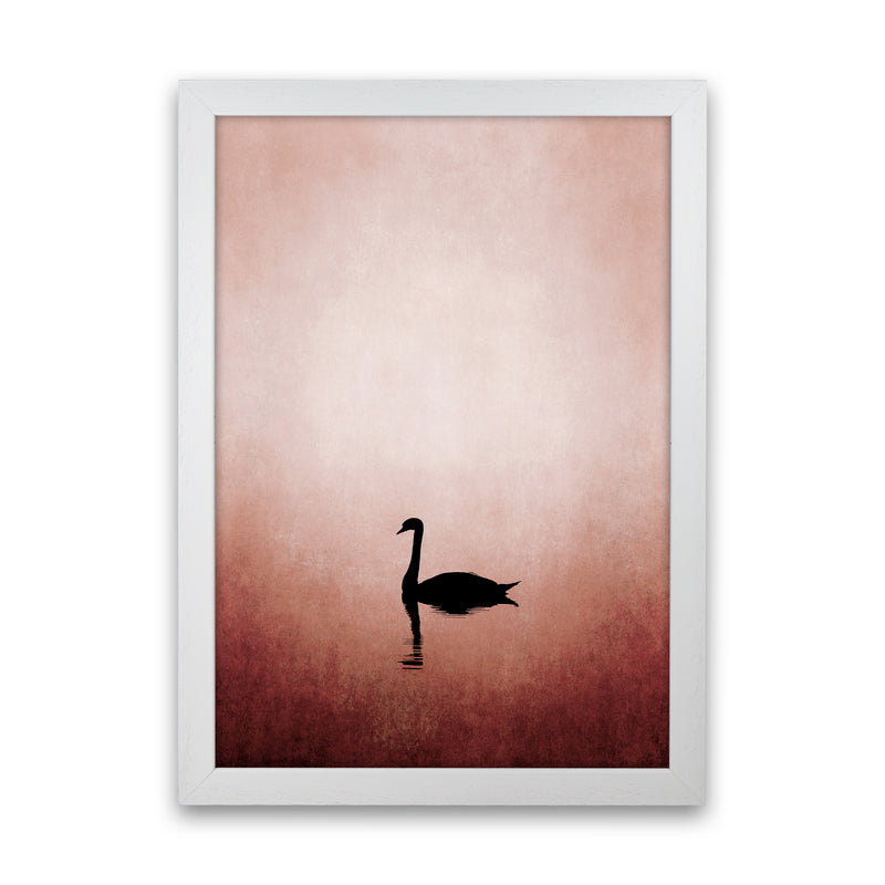 The Swan Contemporary Art Print by Kubistika White Grain