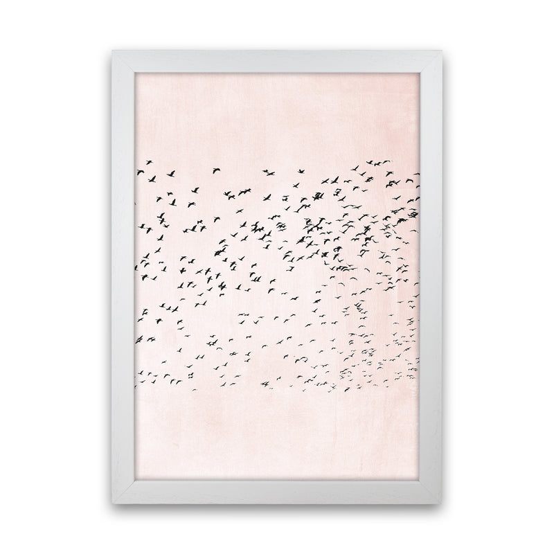 500 Seagulls Modern Contemporary Art Print by Kubistika White Grain