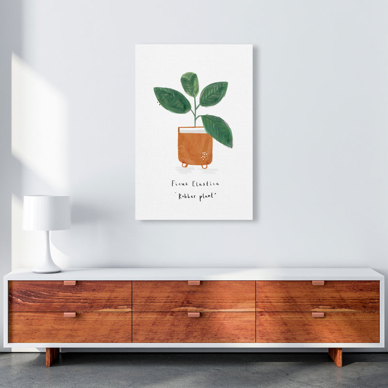 Rubber Plant  Art Print by Laura Irwin A1 Canvas