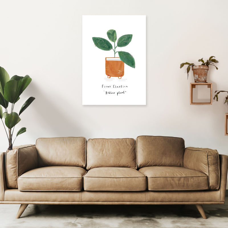Rubber Plant  Art Print by Laura Irwin A1 Black Frame