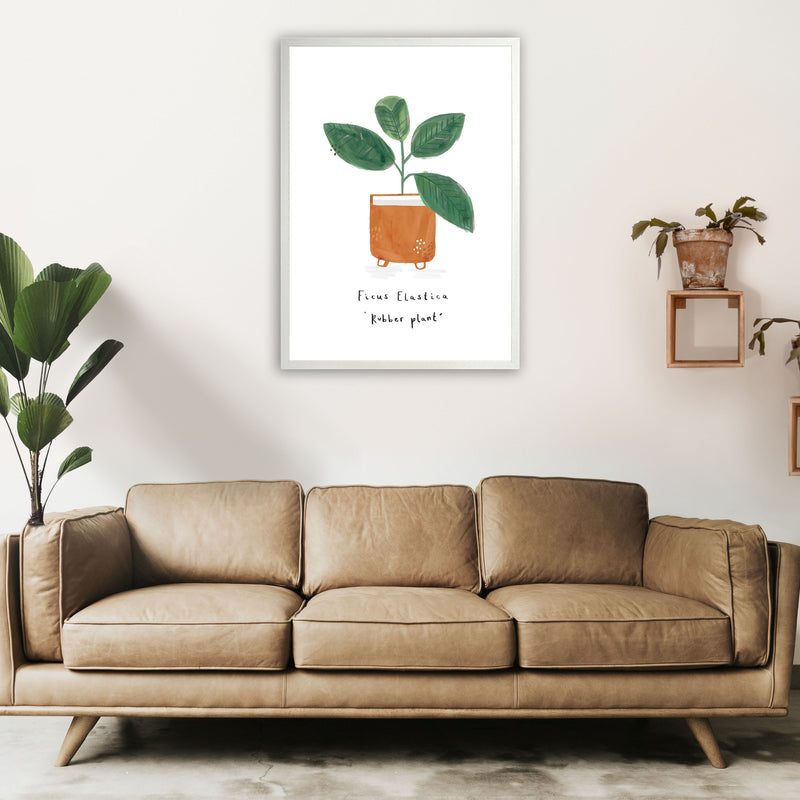Rubber Plant  Art Print by Laura Irwin A1 Oak Frame