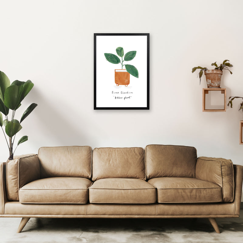 Rubber Plant  Art Print by Laura Irwin A2 White Frame