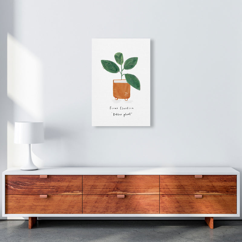 Rubber Plant  Art Print by Laura Irwin A2 Canvas