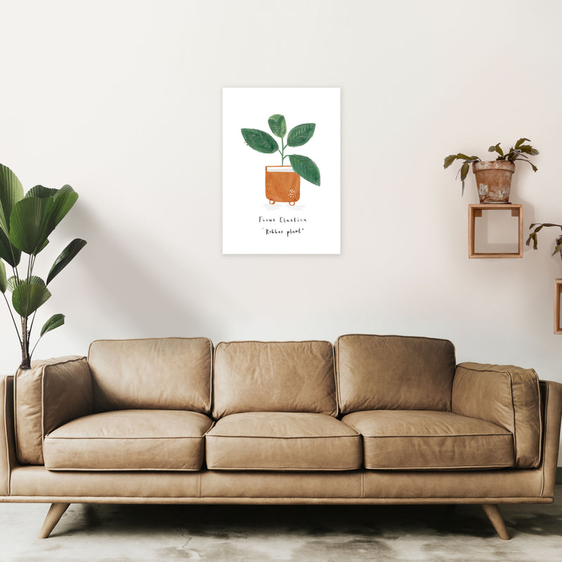 Rubber Plant  Art Print by Laura Irwin A2 Black Frame