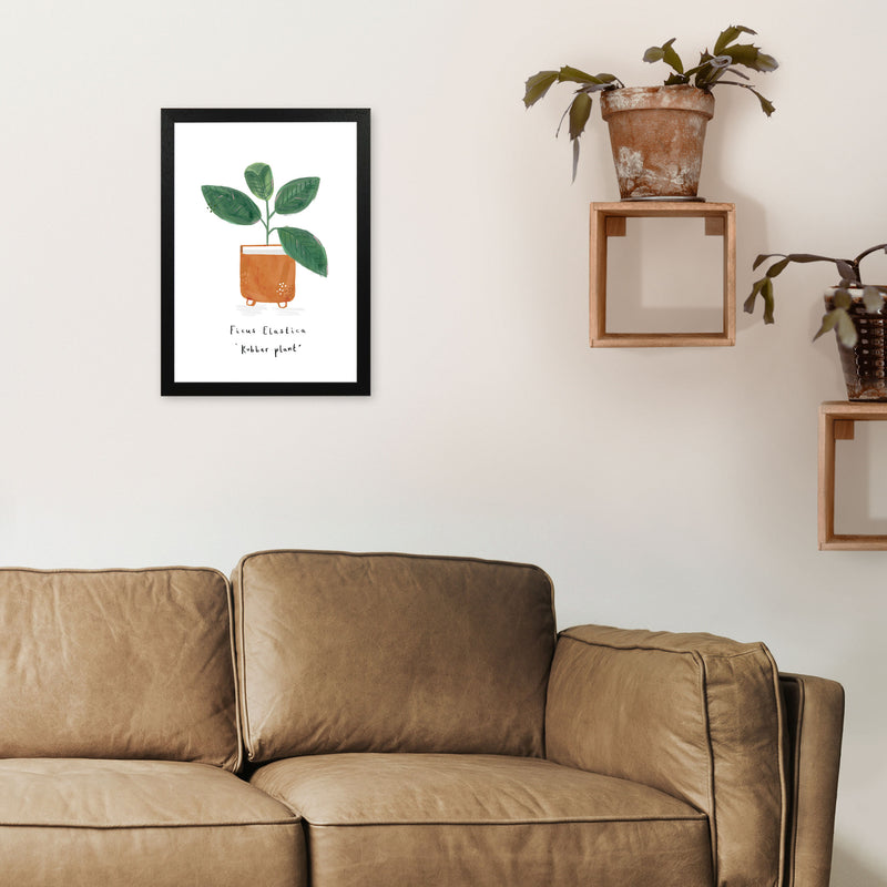 Rubber Plant  Art Print by Laura Irwin A3 White Frame