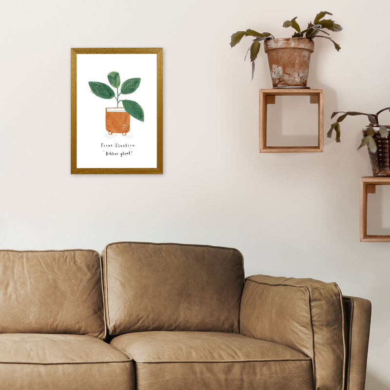 Rubber Plant  Art Print by Laura Irwin A3 Print Only