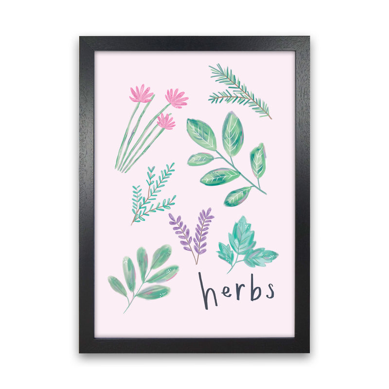 Herbs  Art Print by Laura Irwin Black Grain