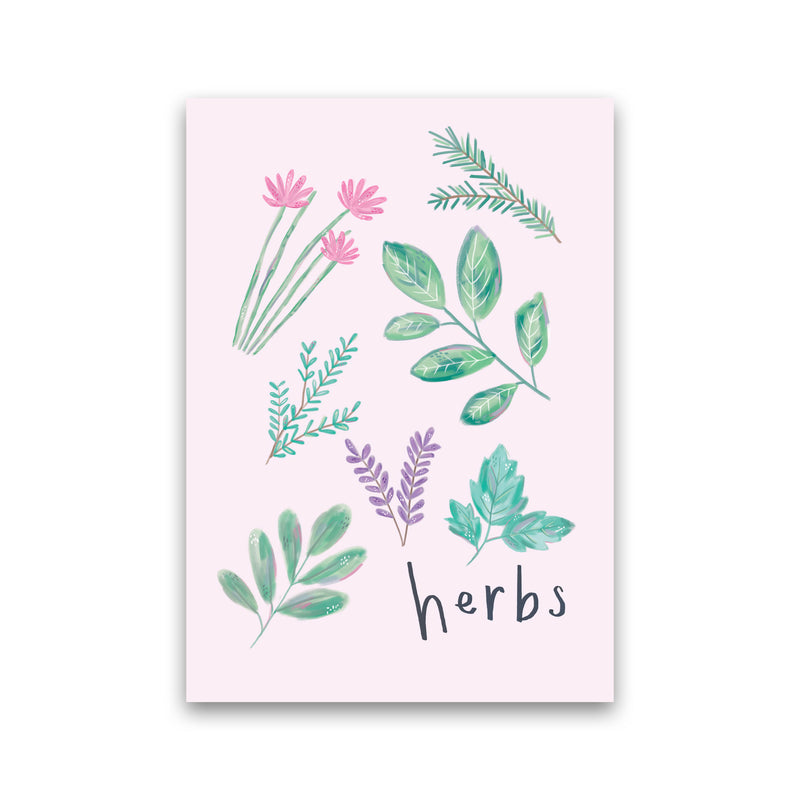Herbs  Art Print by Laura Irwin Print Only