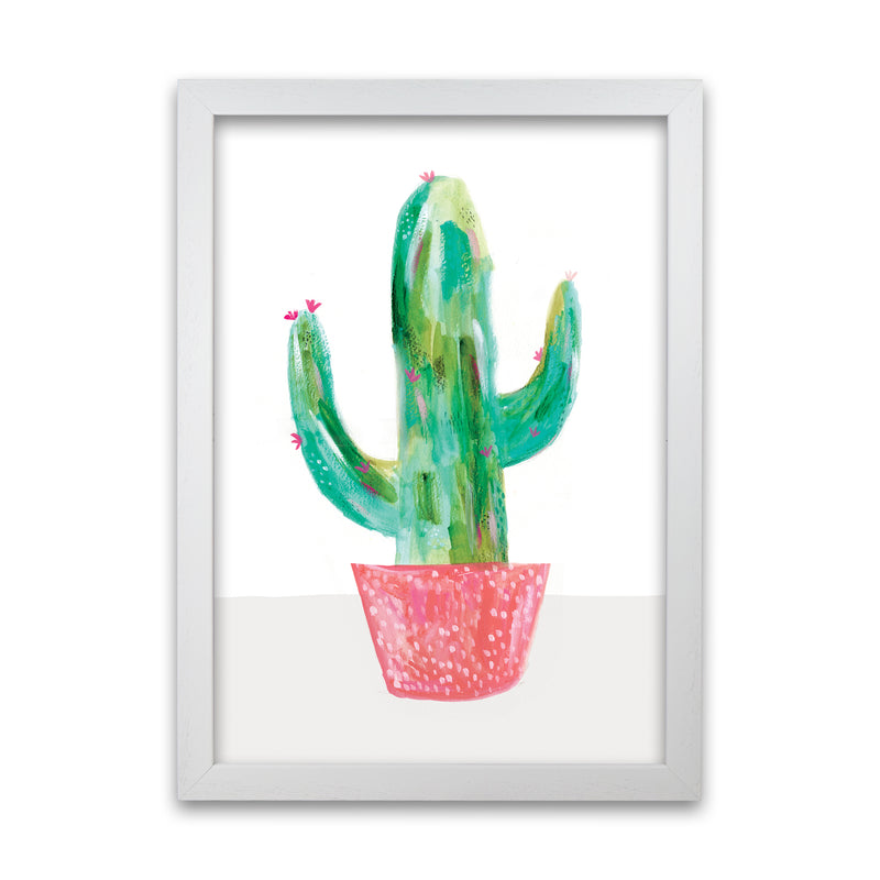 Laura Irwin Painted Cactus in Coral Plant Pot A1 Oak with White Mount