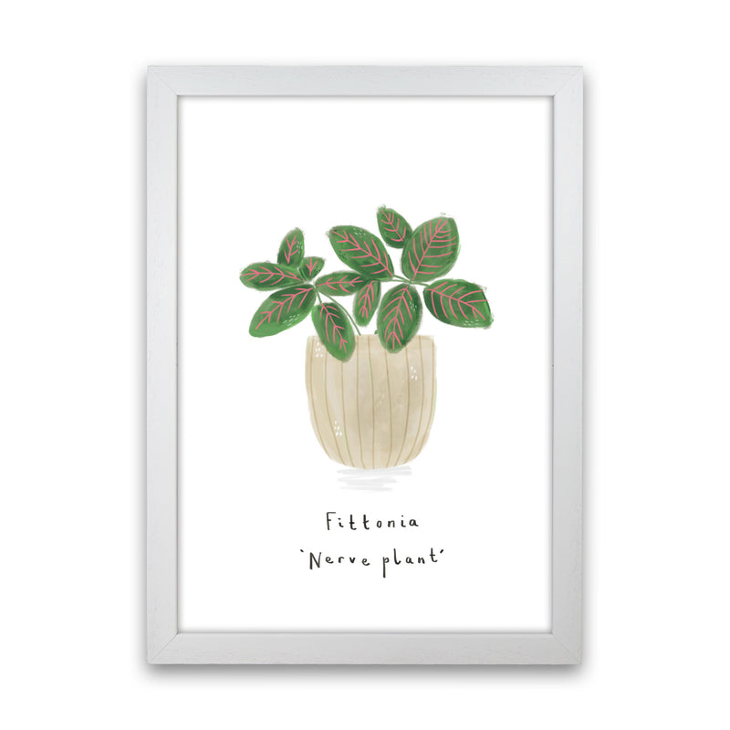 Nerve Plant  Art Print by Laura Irwin White Grain
