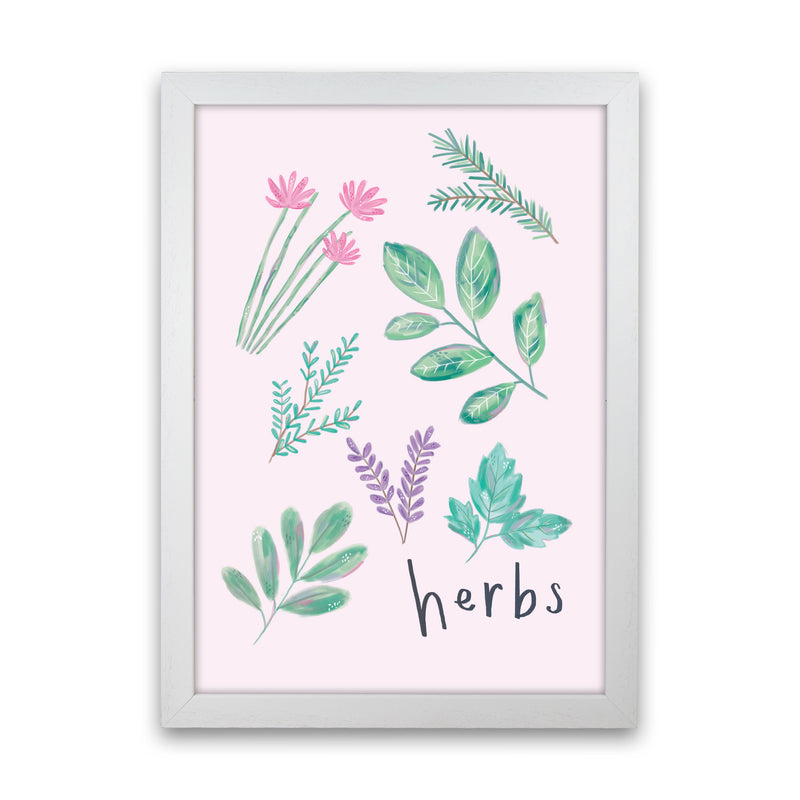 Herbs  Art Print by Laura Irwin White Grain