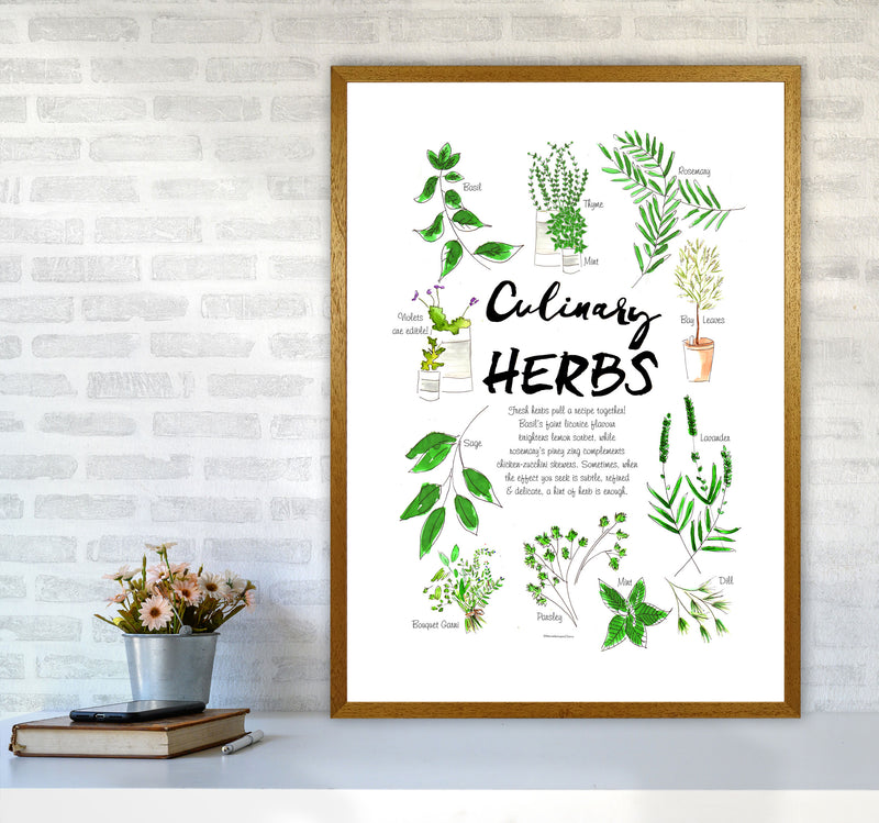 Culinary Herbs, Kitchen Food & Drink Art Prints A1 Print Only