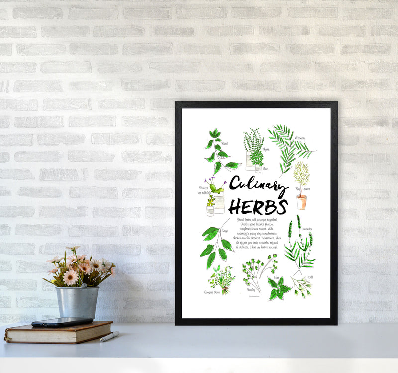 Culinary Herbs, Kitchen Food & Drink Art Prints A2 White Frame