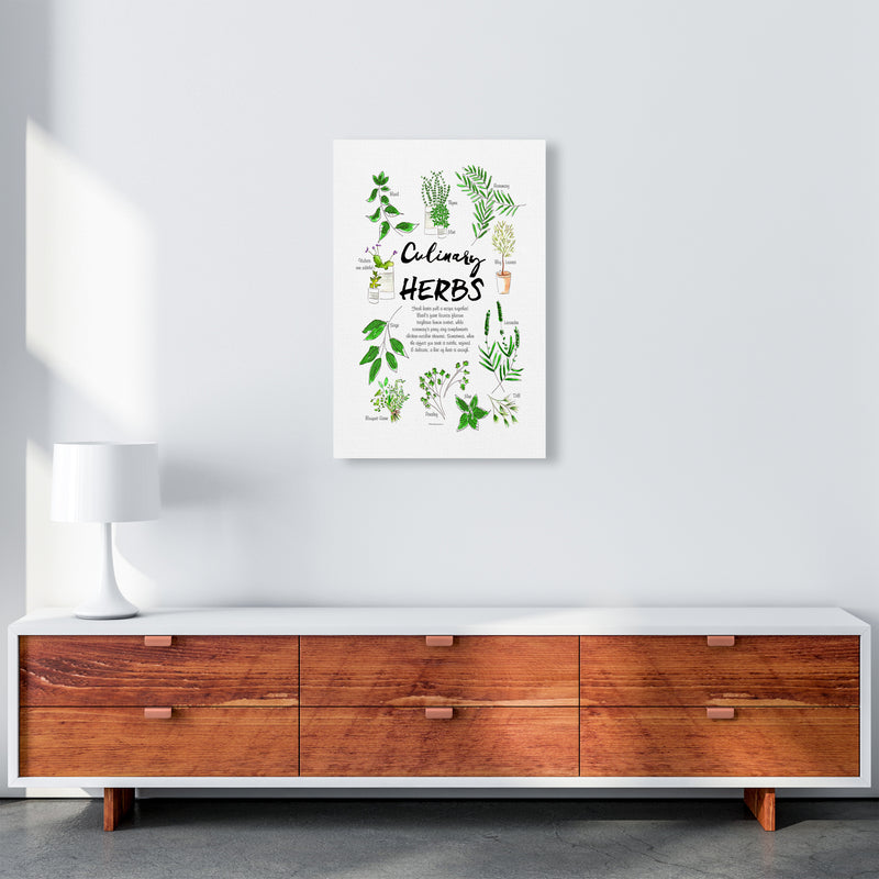 Culinary Herbs, Kitchen Food & Drink Art Prints A2 Canvas