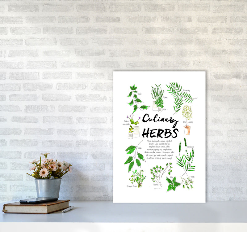Culinary Herbs, Kitchen Food & Drink Art Prints A2 Black Frame