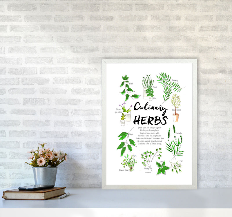 Culinary Herbs, Kitchen Food & Drink Art Prints A2 Oak Frame
