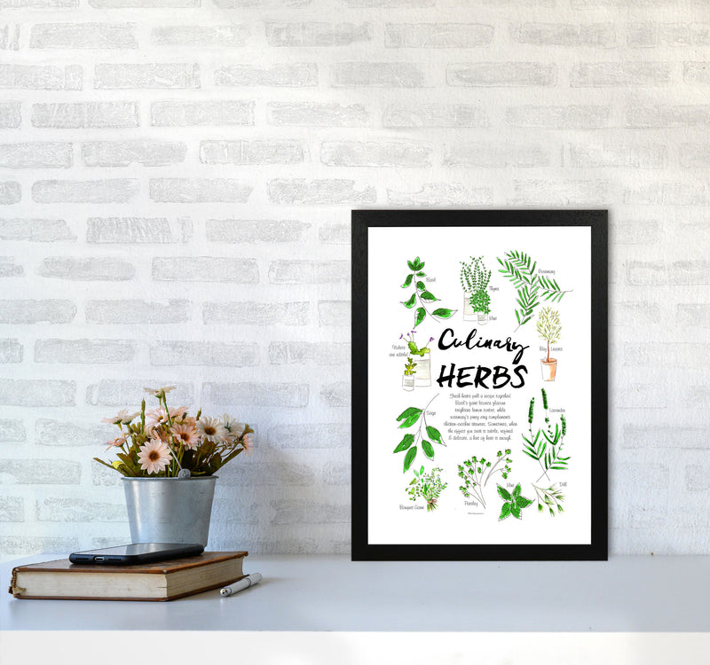 Culinary Herbs, Kitchen Food & Drink Art Prints A3 White Frame