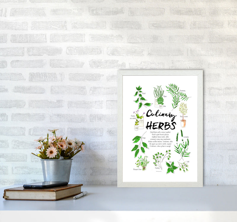 Culinary Herbs, Kitchen Food & Drink Art Prints A3 Oak Frame