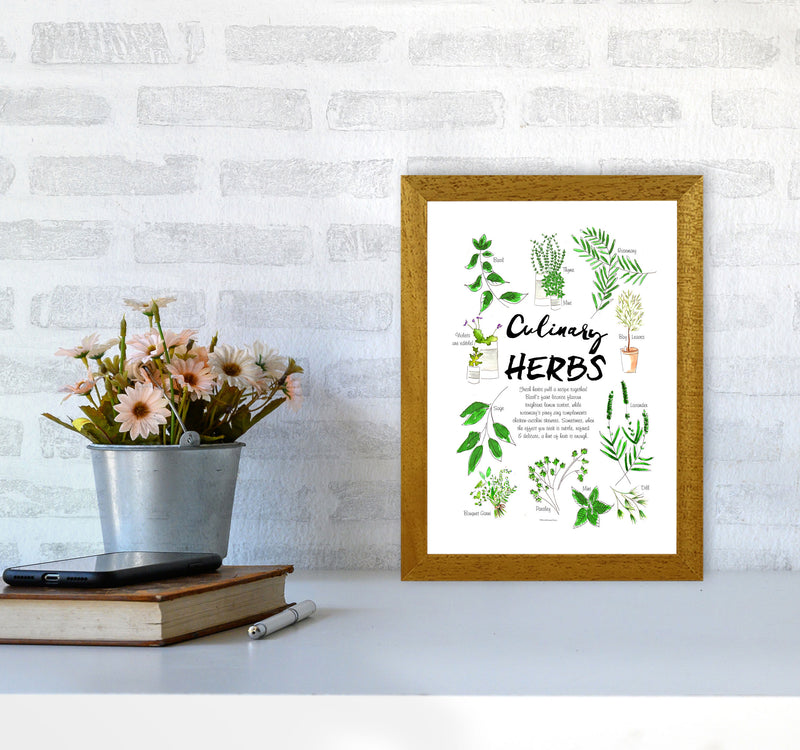 Culinary Herbs, Kitchen Food & Drink Art Prints A4 Print Only