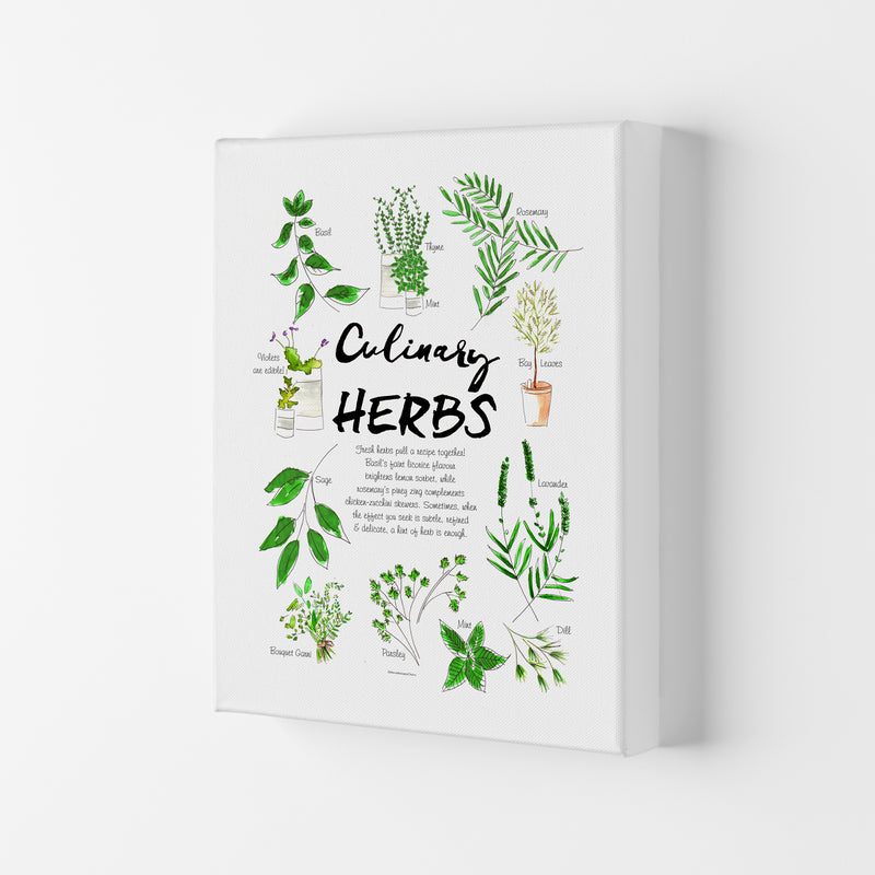 Culinary Herbs, Kitchen Food & Drink Art Prints Canvas