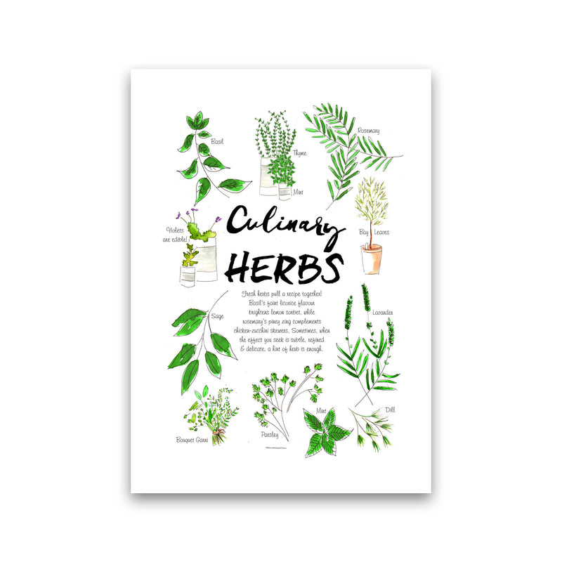 Culinary Herbs, Kitchen Food & Drink Art Prints Print Only
