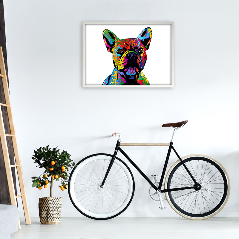 French Bulldog Dog White Art Print by Michael Tompsett A1 Oak Frame