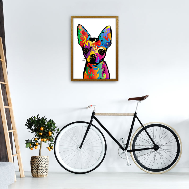 Chihuahua Dog White Art Print by Michael Tompsett A2 Print Only