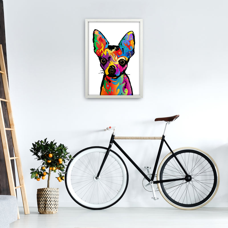 Chihuahua Dog White Art Print by Michael Tompsett A2 Oak Frame