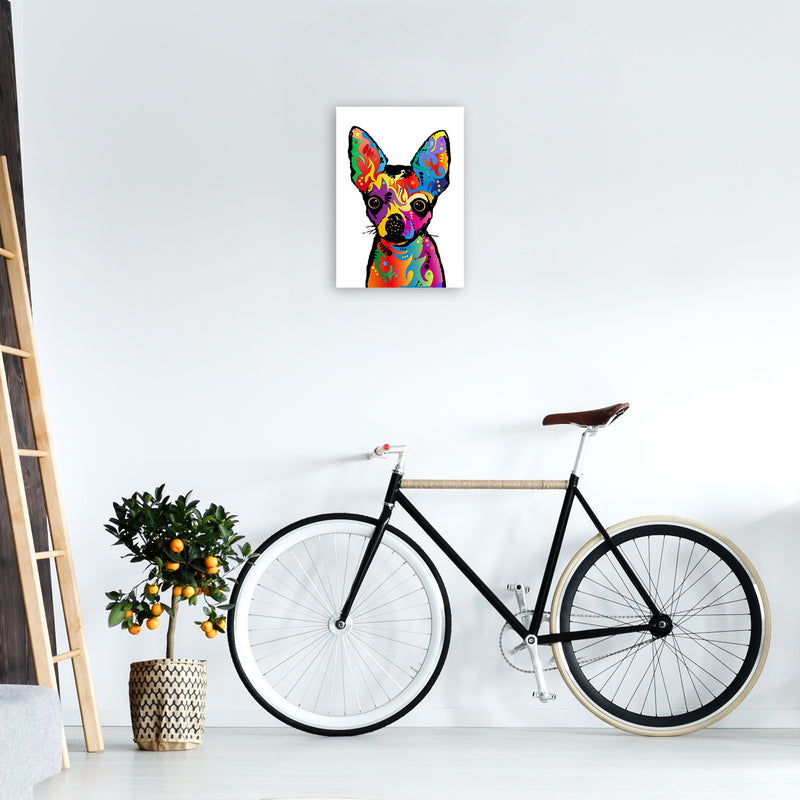 Chihuahua Dog White Art Print by Michael Tompsett A3 Black Frame