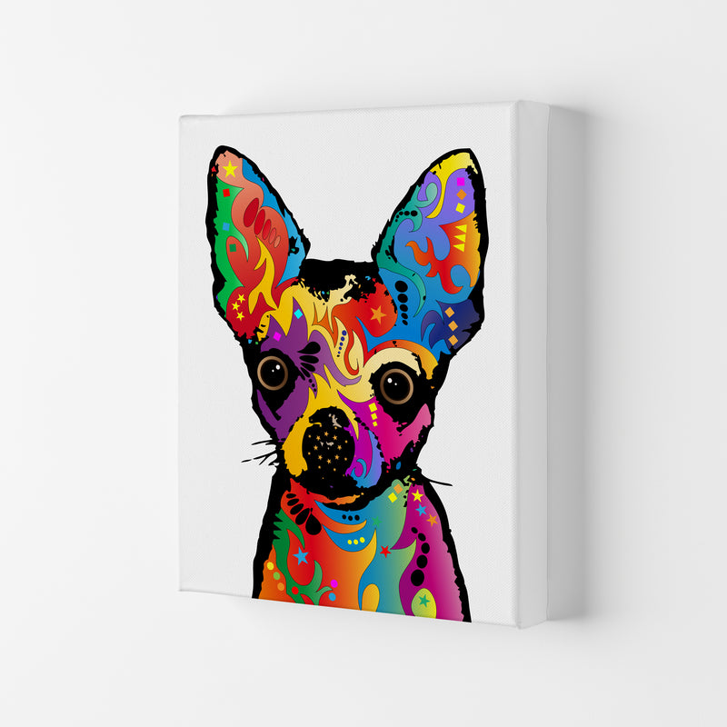 Chihuahua Dog White Art Print by Michael Tompsett Canvas