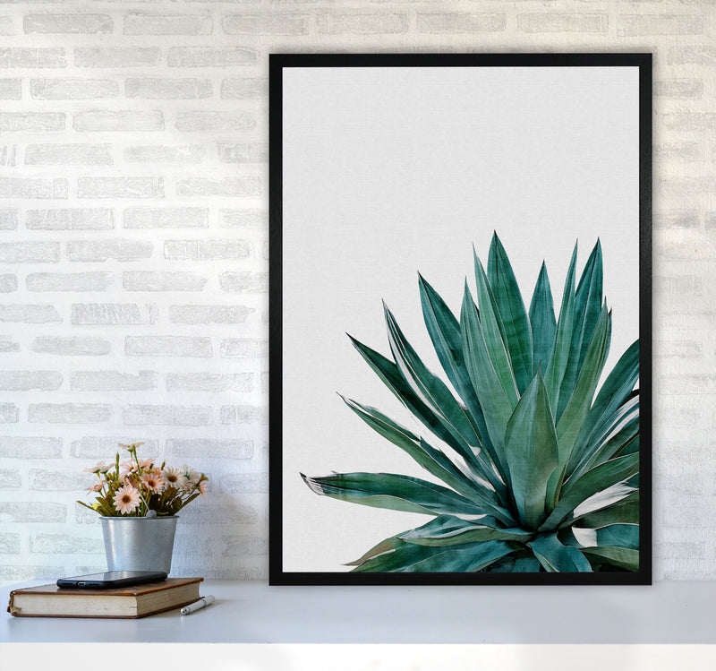 Agave Cactus Print By Orara Studio, Framed Botanical & Nature Art Print A1 White Frame