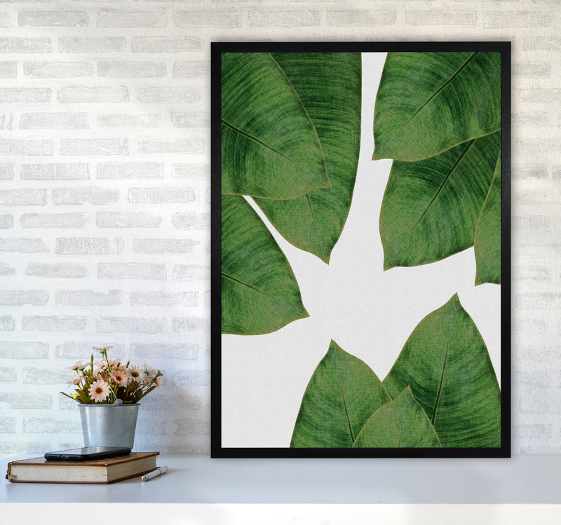 Banana Leaf I Print By Orara Studio, Framed Botanical & Nature Art Print A1 White Frame
