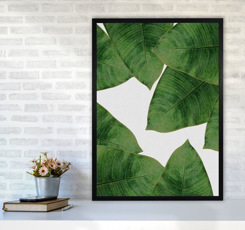 Banana Leaf II Print By Orara Studio, Framed Botanical & Nature Art Print A1 White Frame
