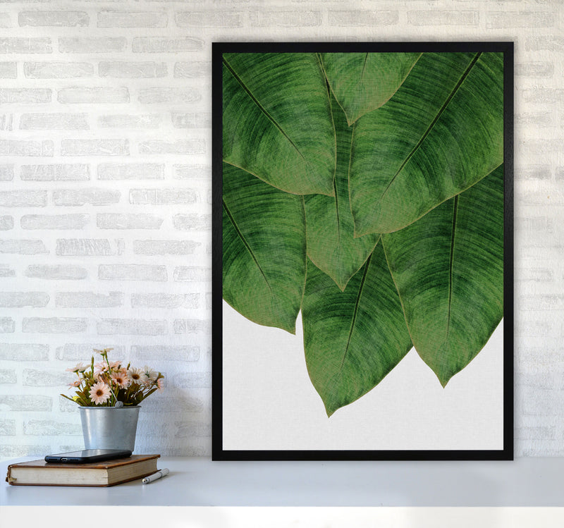 Banana Leaf III Print By Orara Studio, Framed Botanical & Nature Art Print A1 White Frame